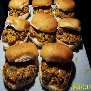 BURGER STUFFED & FROZEN BUNS from the NORTHWOODS_image