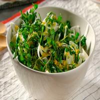 Watercress and Fennel Salad image