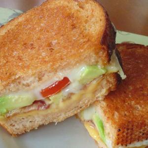 Alexa's Gourmet Grilled Cheese_image