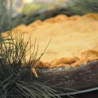 Colonial Port-Beef Pie_image