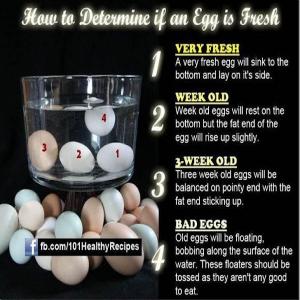 How to Tell if Eggs are Bad_image