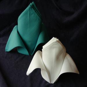 Serviette/Napkin Folding, the Fleur De Lis_image