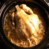 Crock Pot French Onion Chicken_image