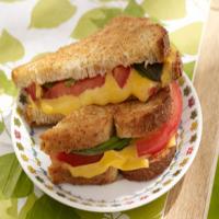Tomato-Basil Grilled Cheese image