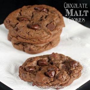 Chocolate Malt cookies with chocolate chips Recipe - (4.2/5)_image