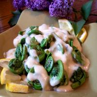 Fiddlehead Ferns Steamed With a Creamy Dijon Sauce image