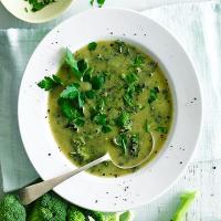 Broccoli and kale green soup image