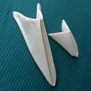 Serviette/Napkin Folding, Elegant and Easy image