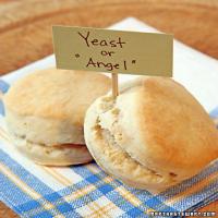 Angel Biscuits_image