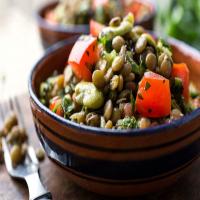 Lentil Salad With Fresh Favas_image