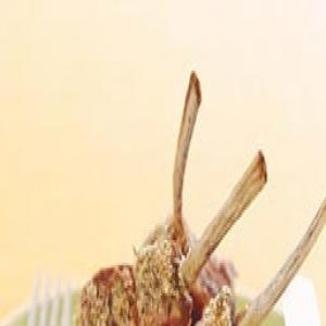 Roasted Racks of Lamb with Malagueta Pepper and Farofa Crust_image