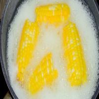 Butter Boiled Corn Recipe - (4.1/5) image