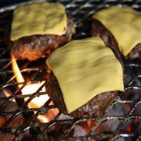 Burger Seasoning Recipe - (4.3/5)_image