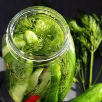 Fermented Kosher-Style Dill Pickles image