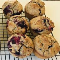 Easy Blueberry Muffins I image