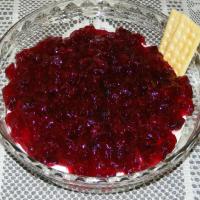 Christmas Party Cranberry Dip Recipe - (4.3/5)_image