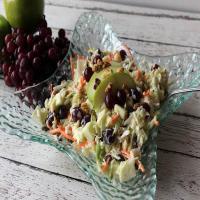Coleslaw With Fruit_image