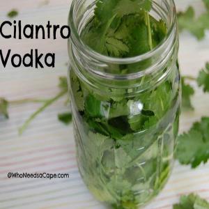 Cilantro Infused Vodka image
