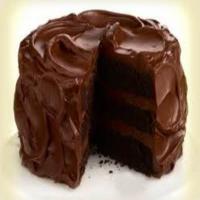 Aunt's Chocolate Coconut Cake_image