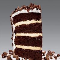 Devil's Food Cake with Peppermint Frosting_image