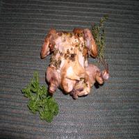 Roasted, Herbed Baby Chickens image