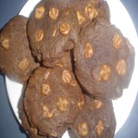 Chocolate Peanut Butter Dream Cookies image