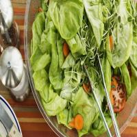 German Salad Dressing for Lettuce Salad (Salatsauce)_image