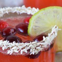 Non-Alcoholic Cranberry Lime Spritzer_image