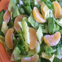 Romaine Salad With Avocado and Oranges_image