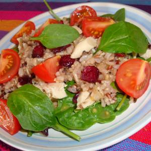 Wild Rice and Turkey Salad_image