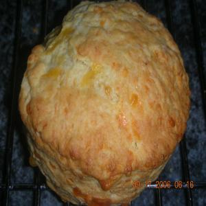 Golden Cheddar Cheese Scones_image