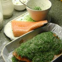 Gravad Lax With a Mustard and Dill Sauce_image