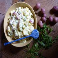 Grandma's Potato Salad_image