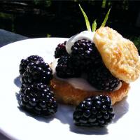 Blackberry Puff Pastry Tarts_image