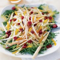 Endive and Apple Salad with Cranberry Dressing_image