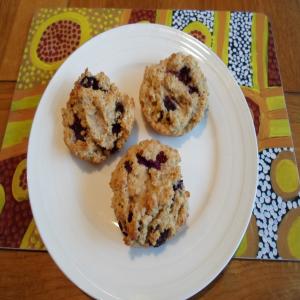 Blueberry Oatbran Muffins_image