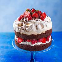 Berry brownie pavlova cake_image