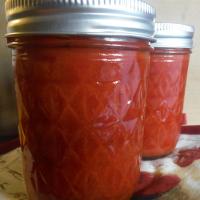 Quick and Easy Ketchup_image