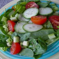 Simple Healthy Summer Salad, Green and Tossed image