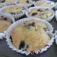 Ricotta-Blueberry Muffins image