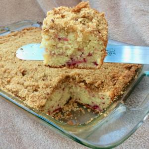 Cranberry Sour Cream Coffee Cake with Pecan Crumb Topping_image