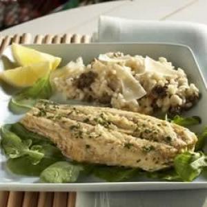 Fresh Grilled Steelhead Trout over Morel Mushroom Risotto_image