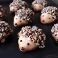 Hedgehog Cookies image