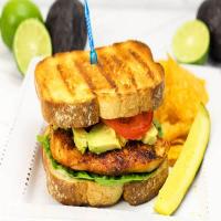 Grilled Chicken Sandwiches With Cilantro Lime Mayo image