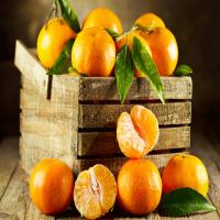 Tangerine Weight-Orade_image