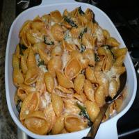 Baked Shells With Fresh Spinach and Pancetta image