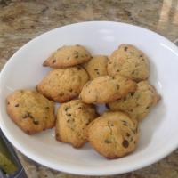 Mel's Magnificent Chocolate Chip Cookies_image