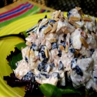 Chicken Salad With Dried Blueberries image