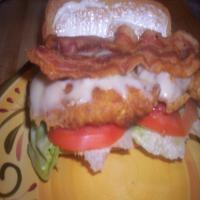 Spicy Chicken Club Sandwich image
