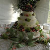 Wedding Cake image